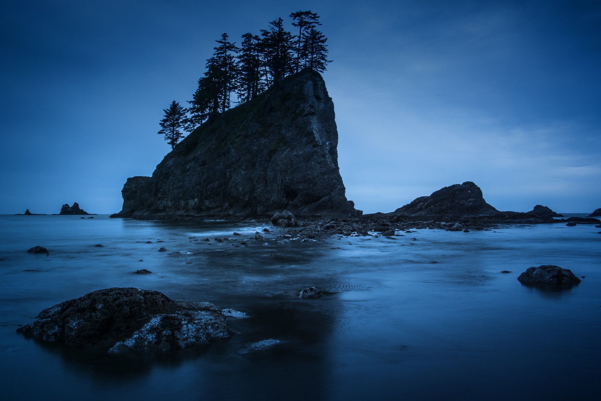 olympic national park washington nacht felsen ufer bäume