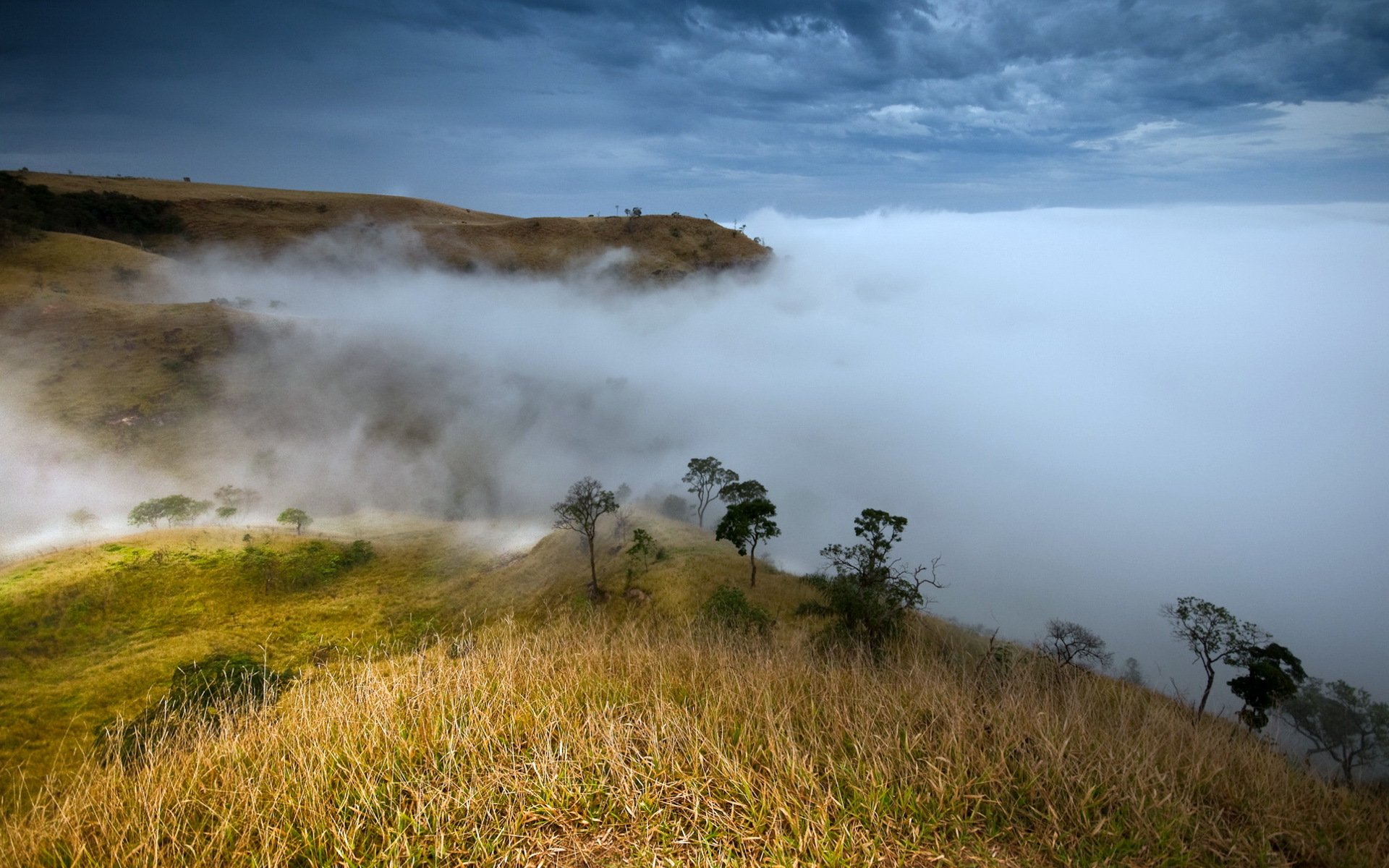 montañas niebla naturaleza