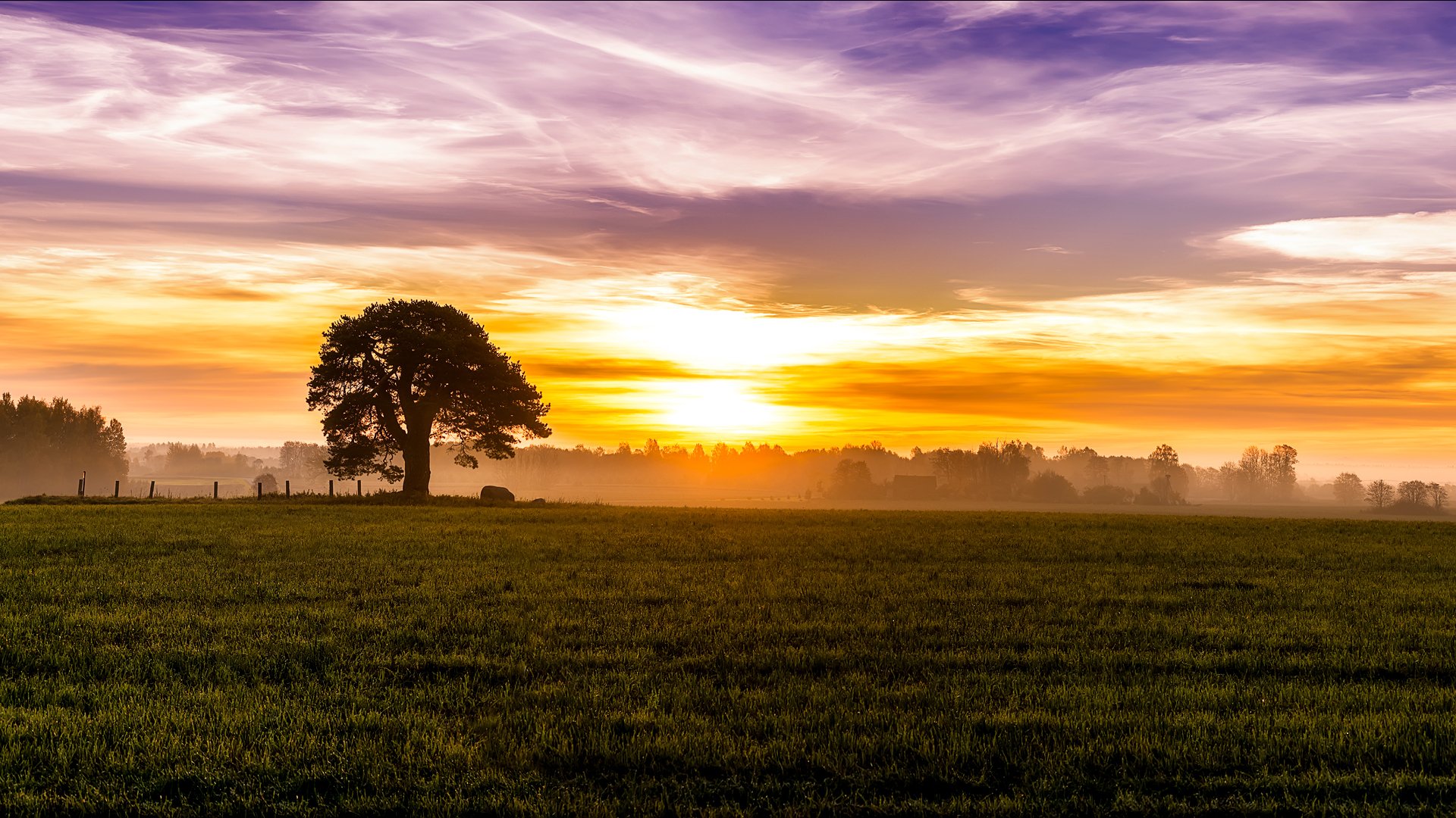 mañana amanecer niebla sol cielo nubes campo claro árbol árboles casas hierba