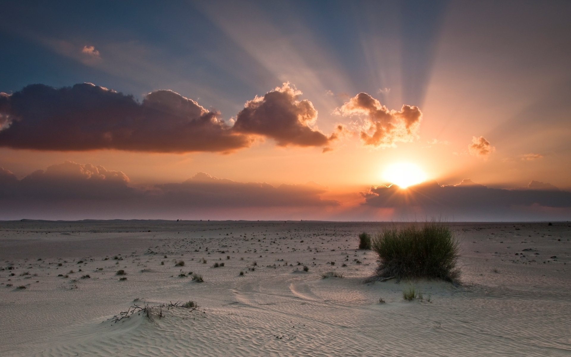 wüste sonnenuntergang sonne busch himmel sonnenuntergang tapeten wolken orange blau sonnenstrahlen sand