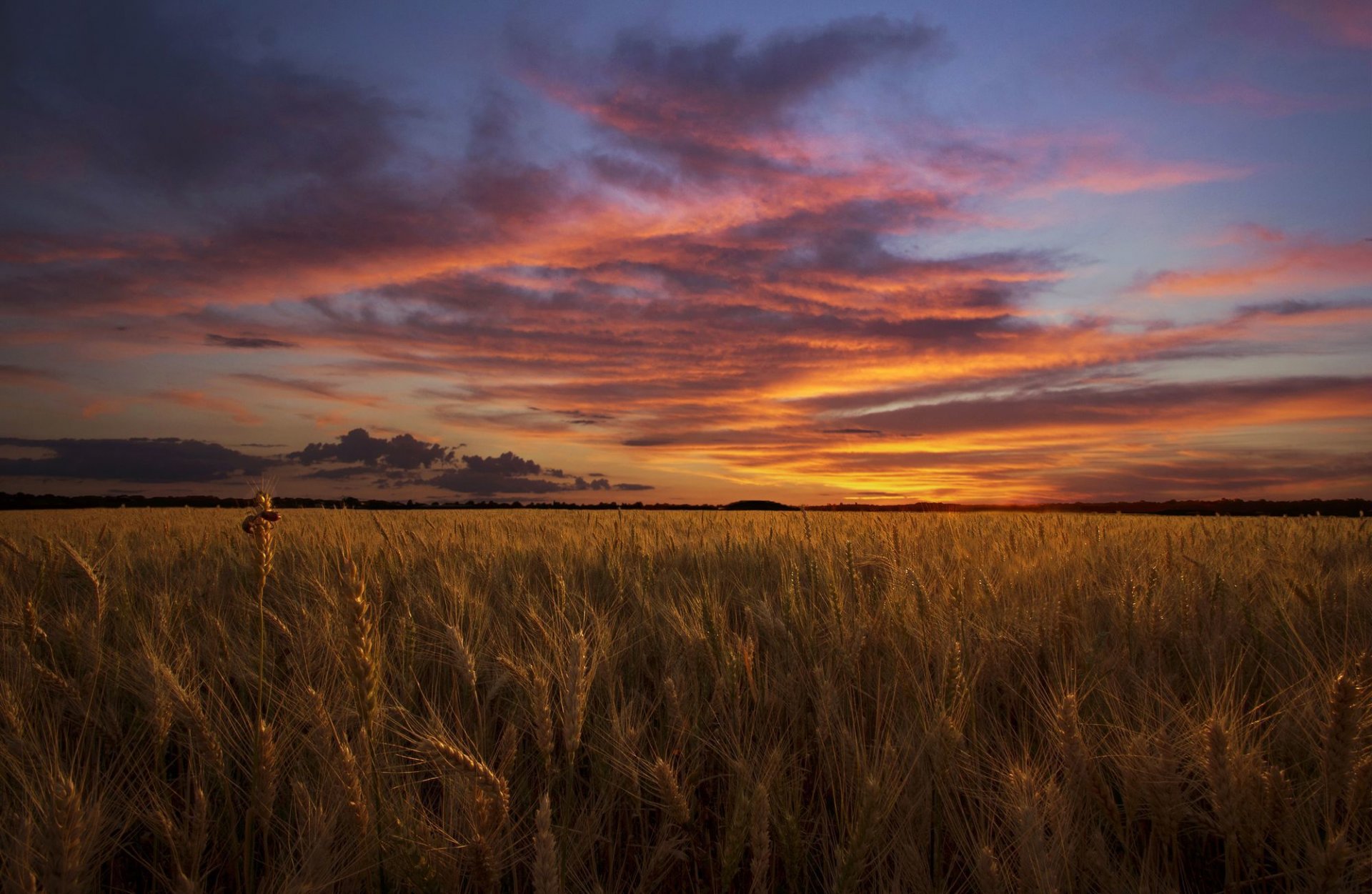 campo noche cielo nubes