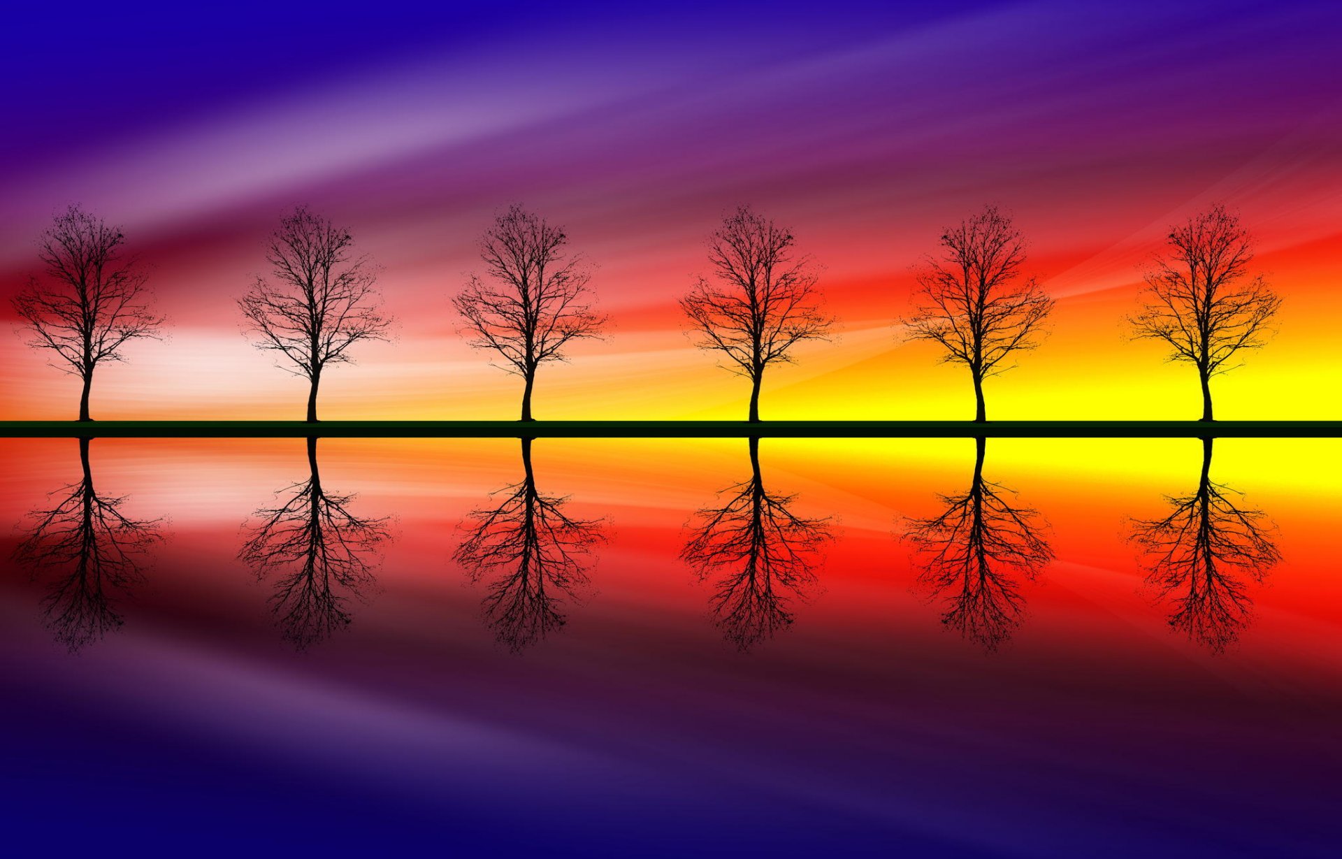 arbres couleurs réflexion