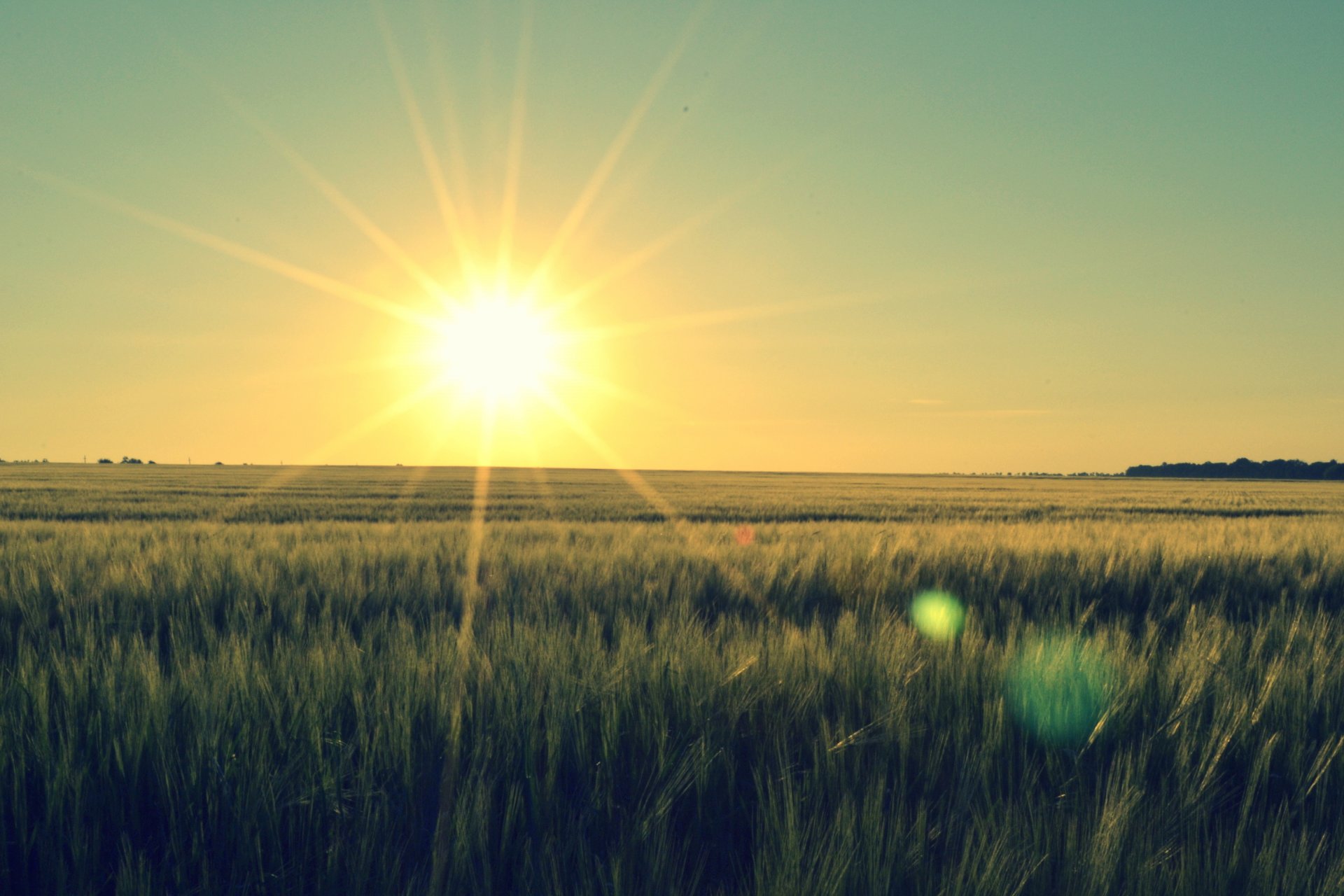 natur dämmerung sonne