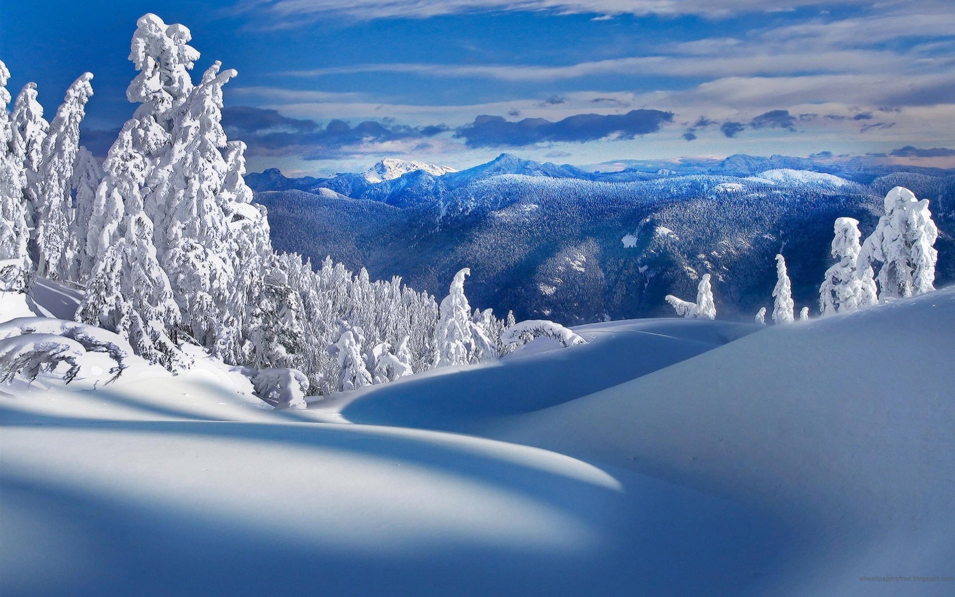 montagna neve inverno natura