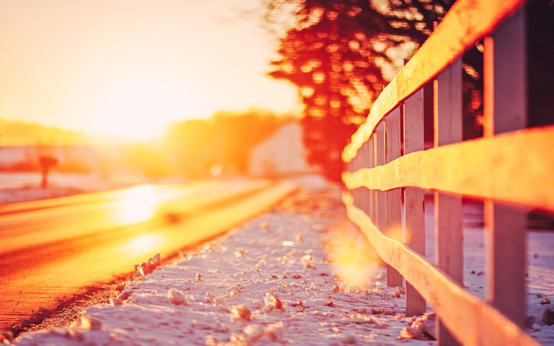 nature landscape fence fence fence snow sun road trees leaves leaves bokeh blur tree macro background wallpaper widescreen fullscreen widescreen widescreen