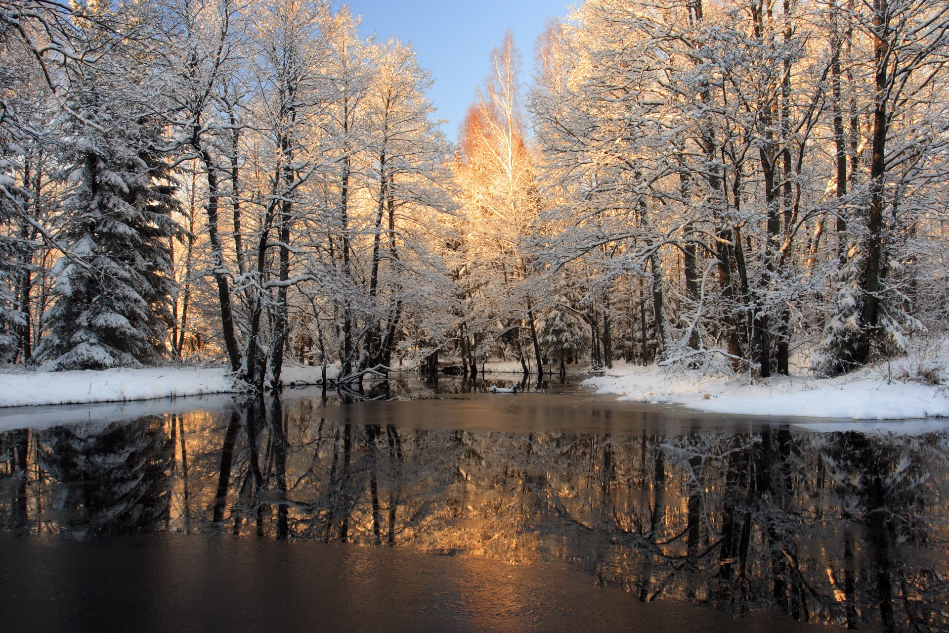 hiver forêt neige rivière