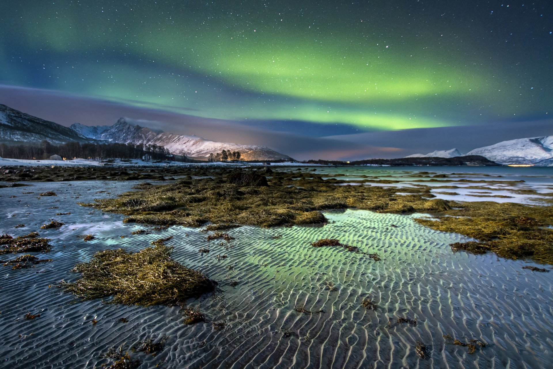 norvegia isola notte inverno neve aurora boreale cielo stelle montagne alghe acqua riva sabbia increspature