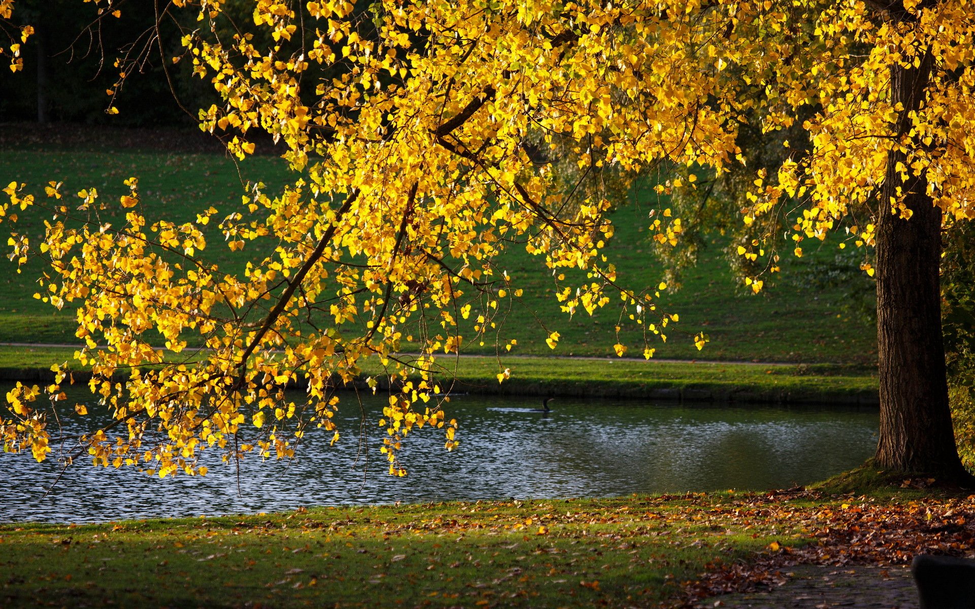 parco natura autunno