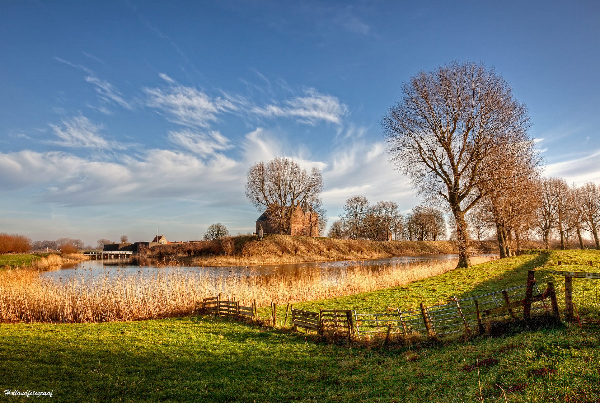 natura paesi bassi olanda fiume luce alberi