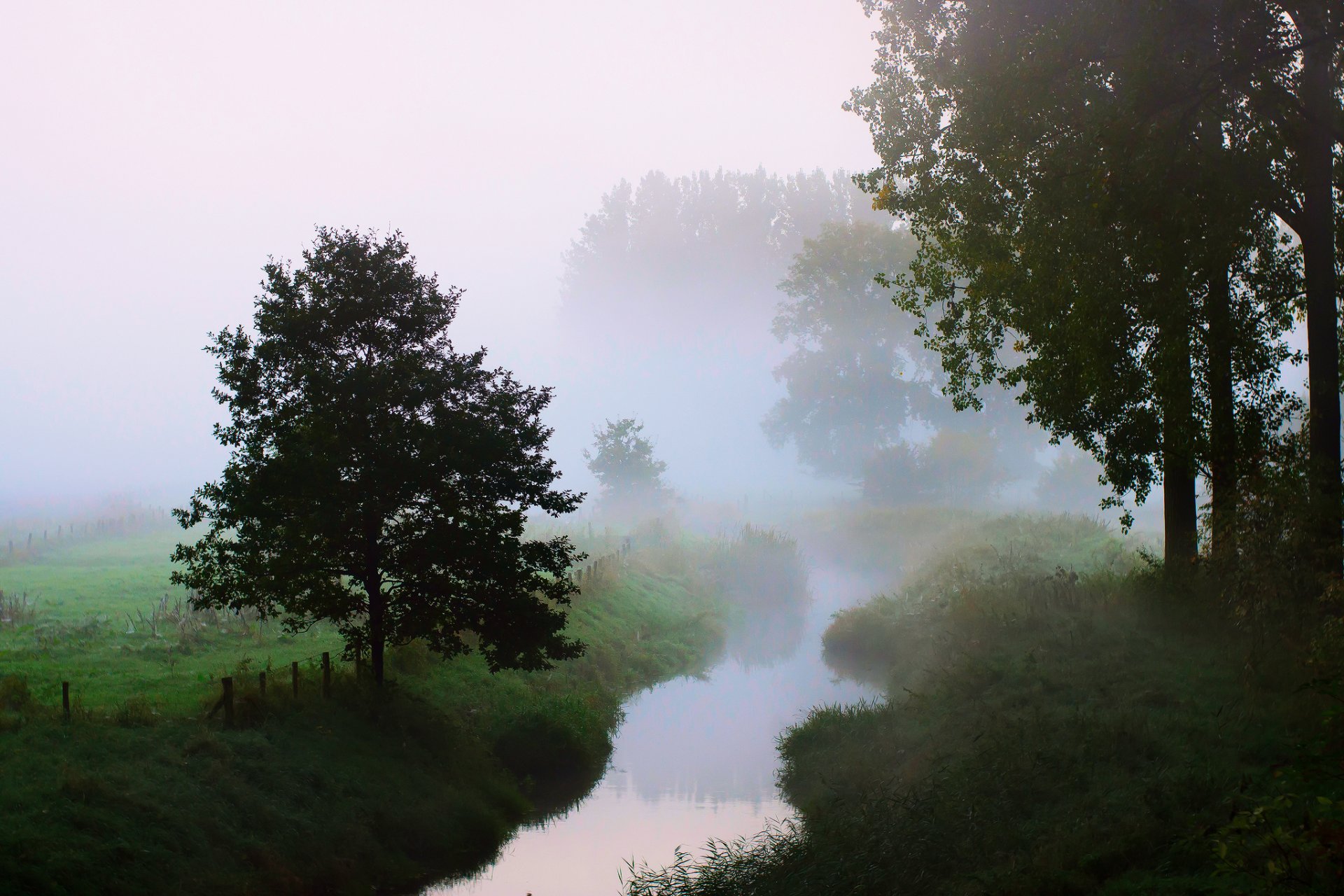 natura poranek rzeka drzewa mgła