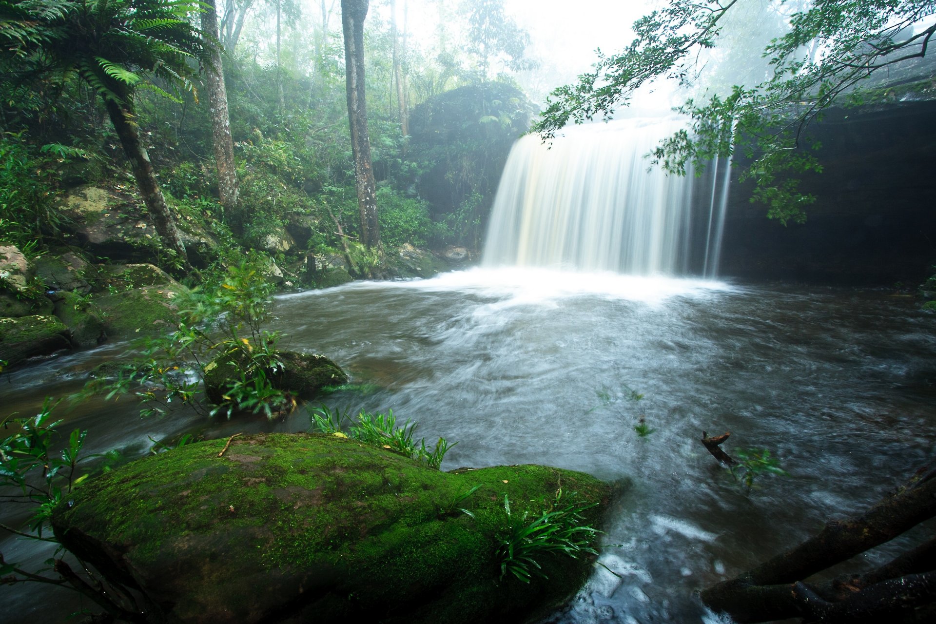 naturaleza cascada agua verde vegetación árboles hojas fondo papel pintado pantalla ancha pantalla completa pantalla ancha