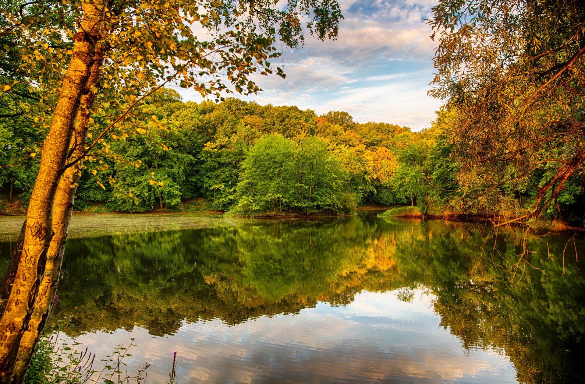 herbst fluss ufer bäume laub himmel reflexion