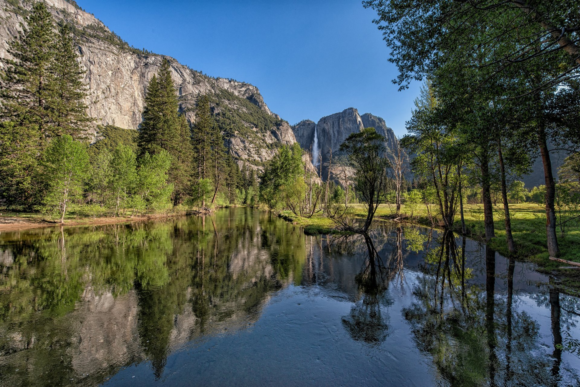 montañas bosque panorama parque nacional de yosemite california sierra nevada montañas valle río