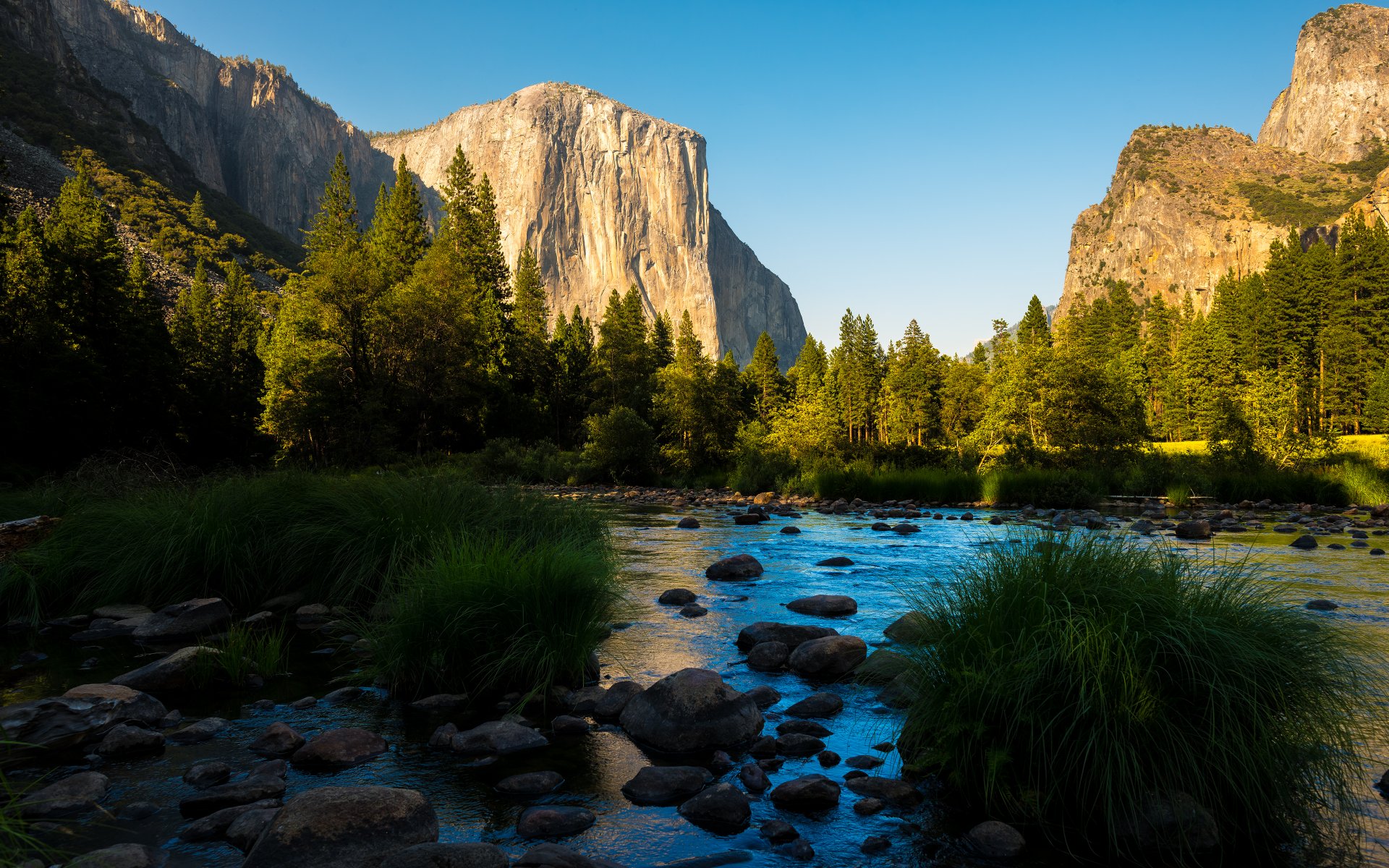 mountain forest panoramma yosemite national park california sierra nevada mountains valley river