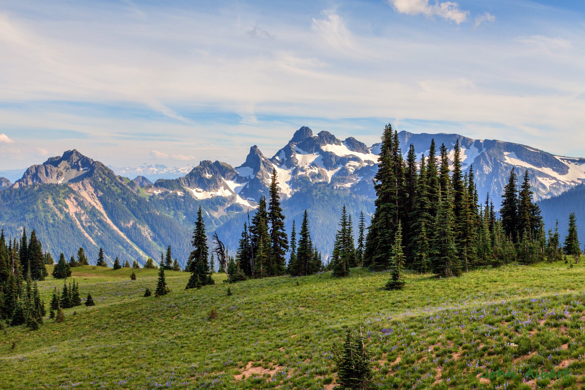 mount rainier washington états-unis montagnes épinette matin