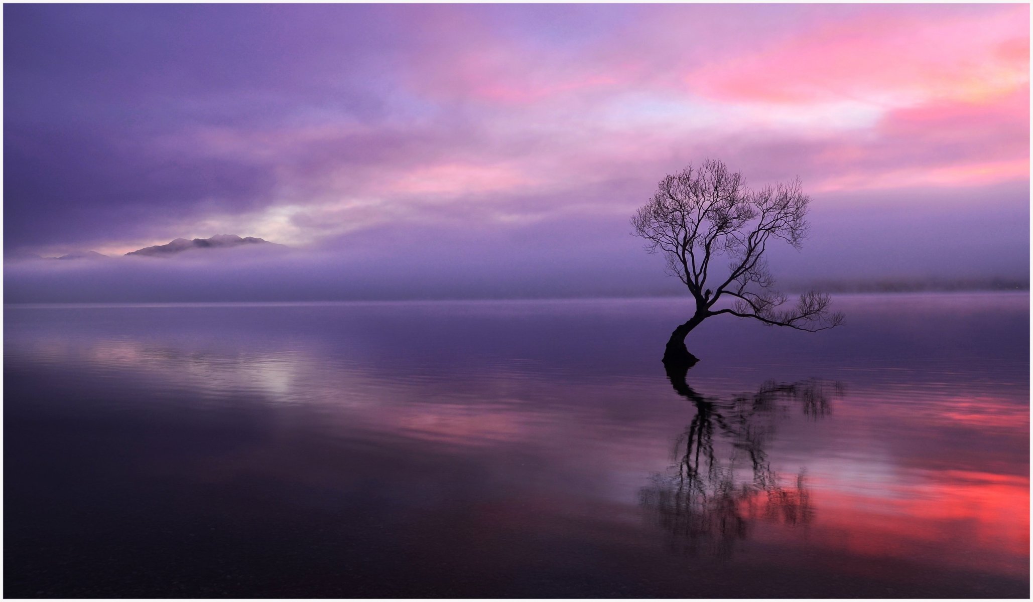 night lake tree dry sunset mountain clouds reflection