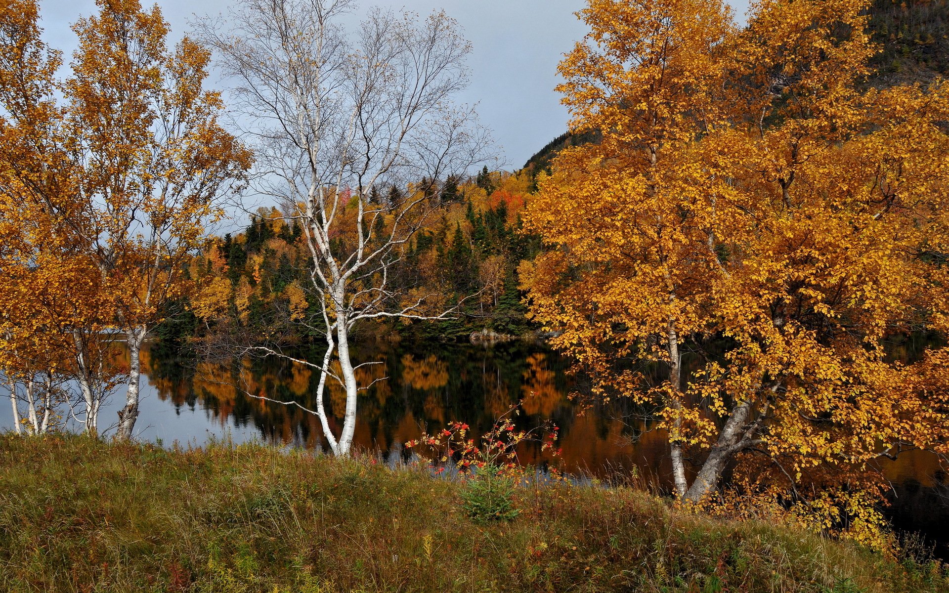 automne rivière nature