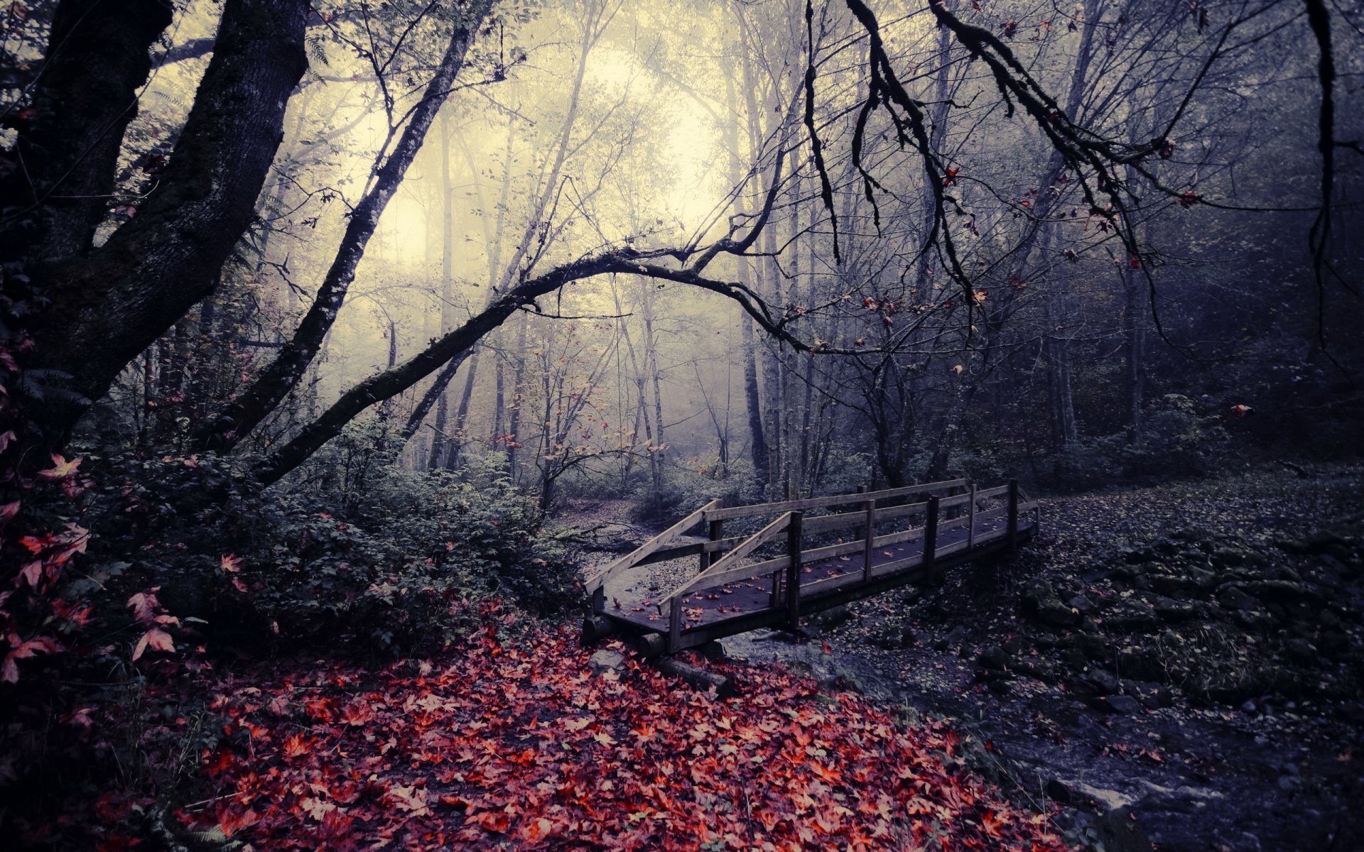 parque puente otoño hojas naturaleza