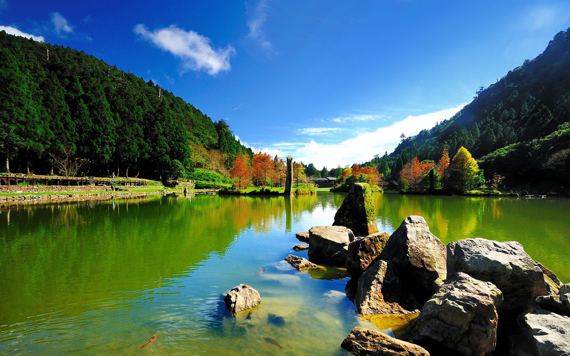 lago estanque rocas soleado colinas árboles cielo peces musgo