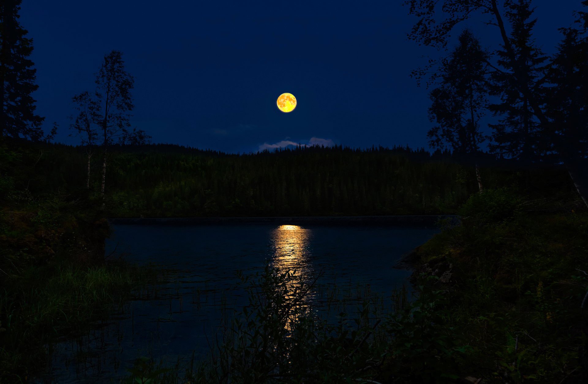 noche noruega luna llena camino lunar río bosque