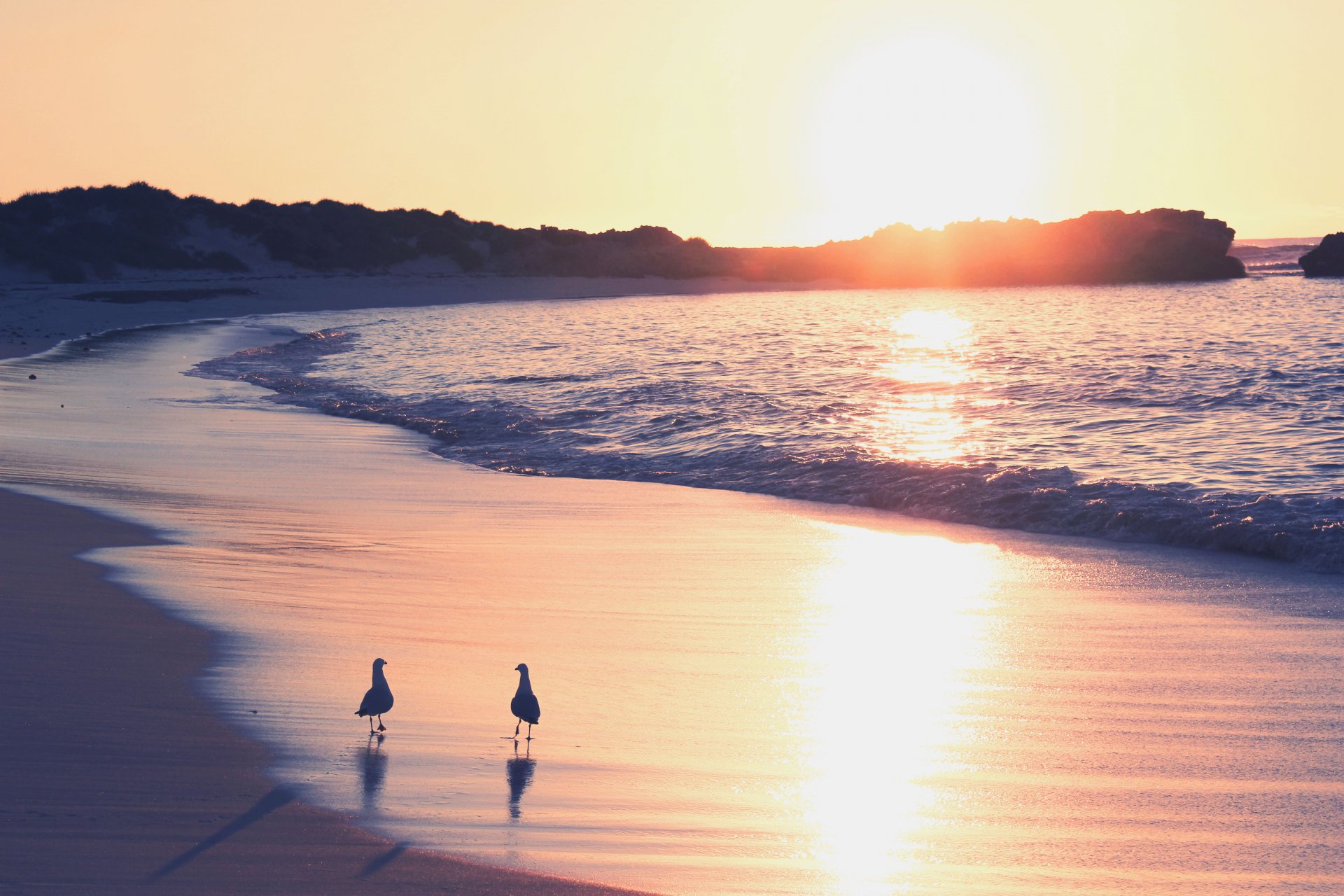 ea sand waves gulls dawn