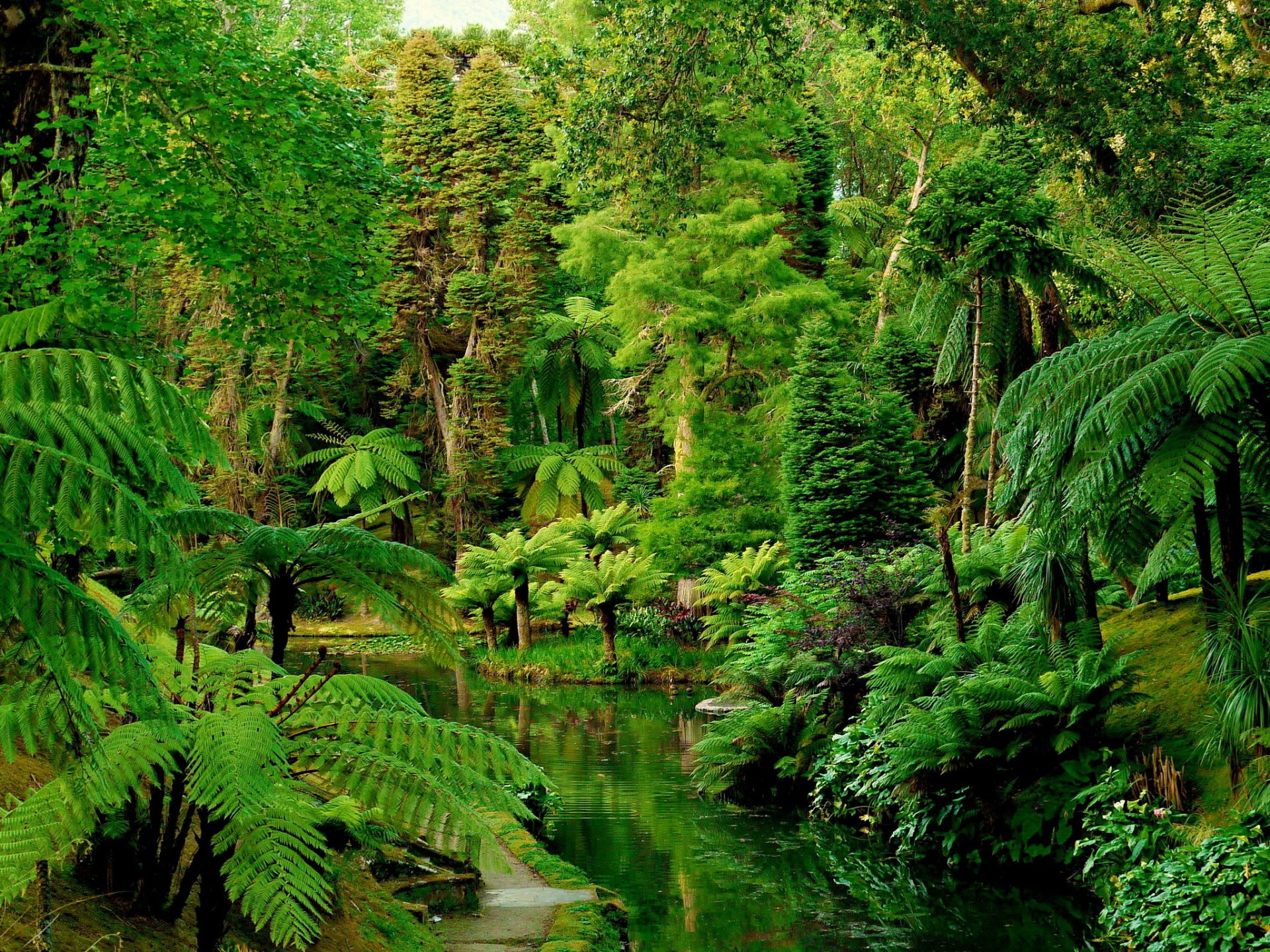 portugal jardins tropiques forêt botanique jardin forêt tropiques