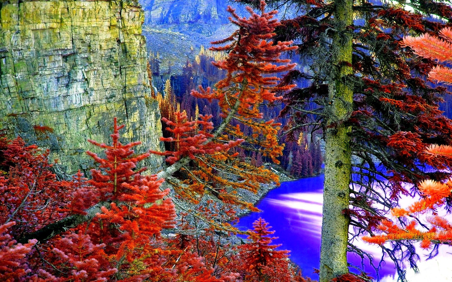 montagnes roches forêt lac arbres aiguilles de pin