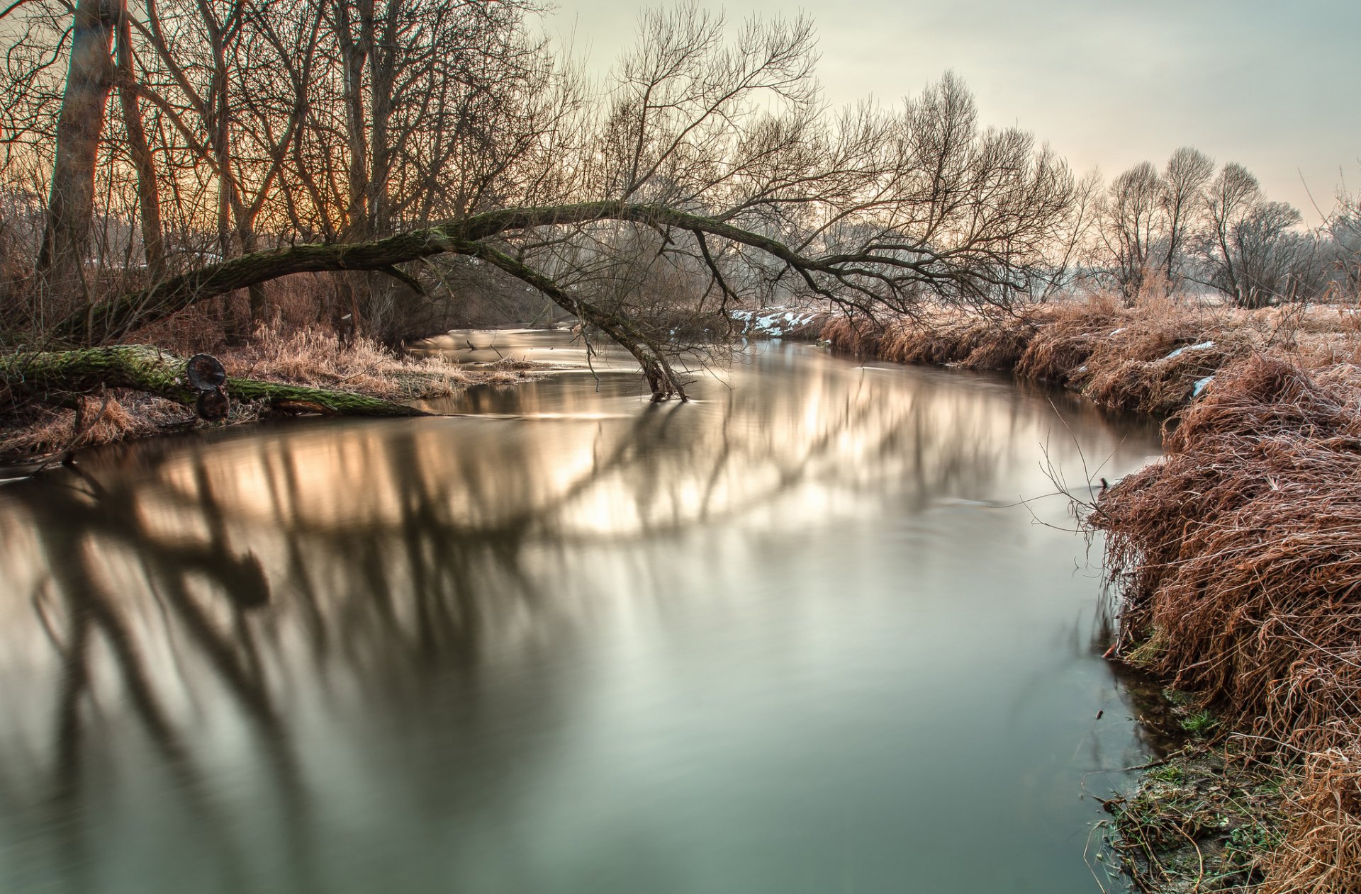 árboles río nieve escarcha mañana