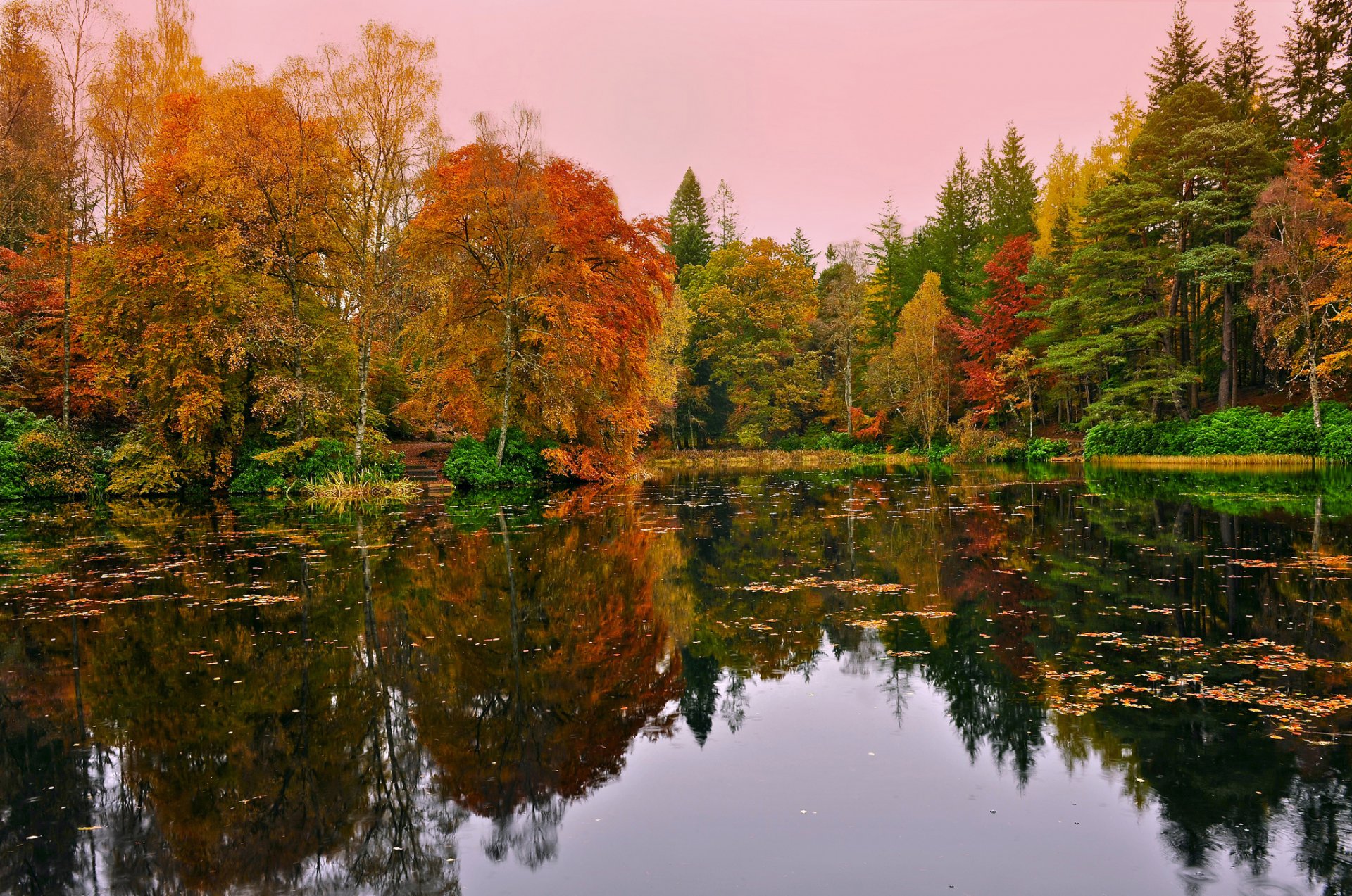 foresta lago autunno