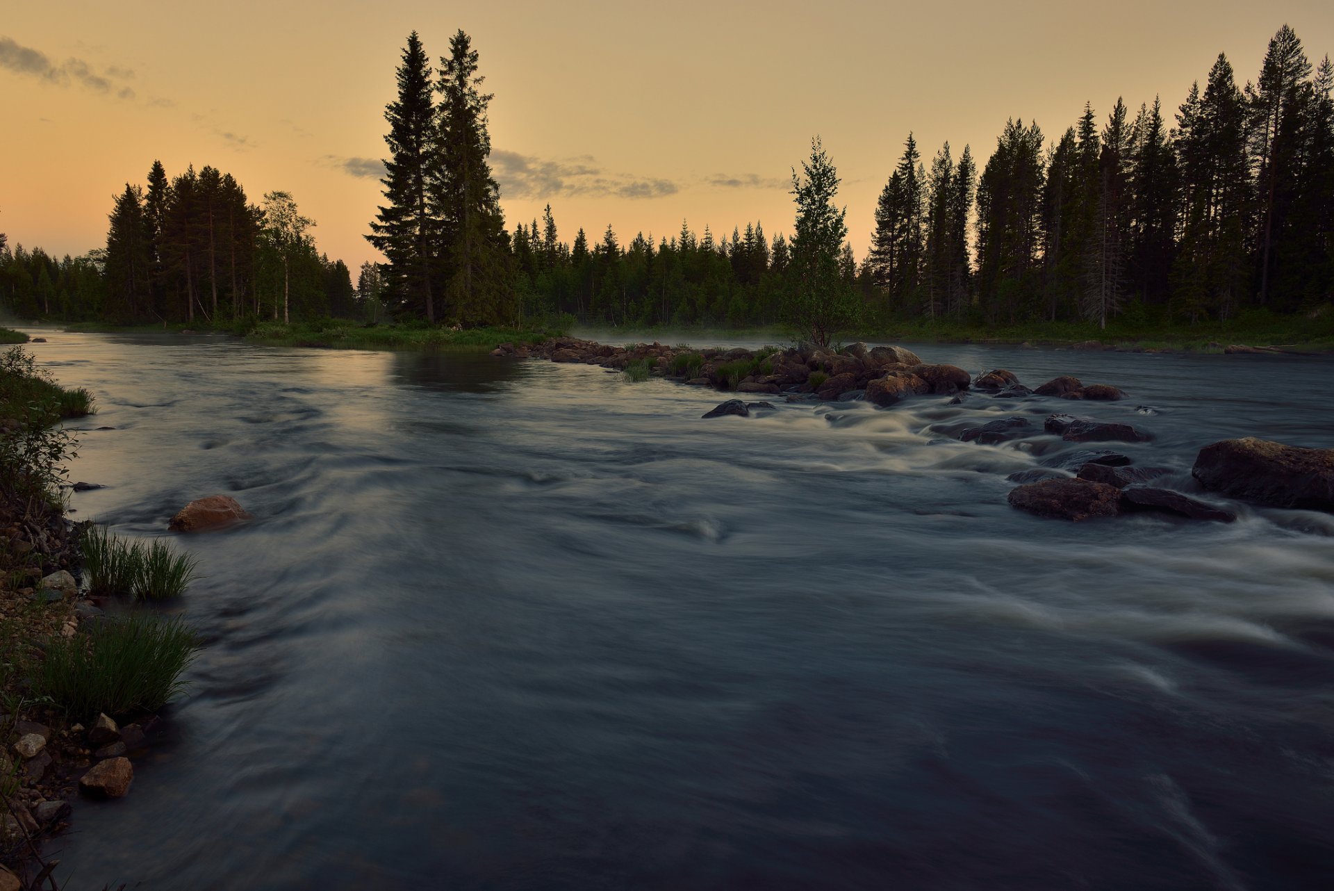 été forêt rivière courant