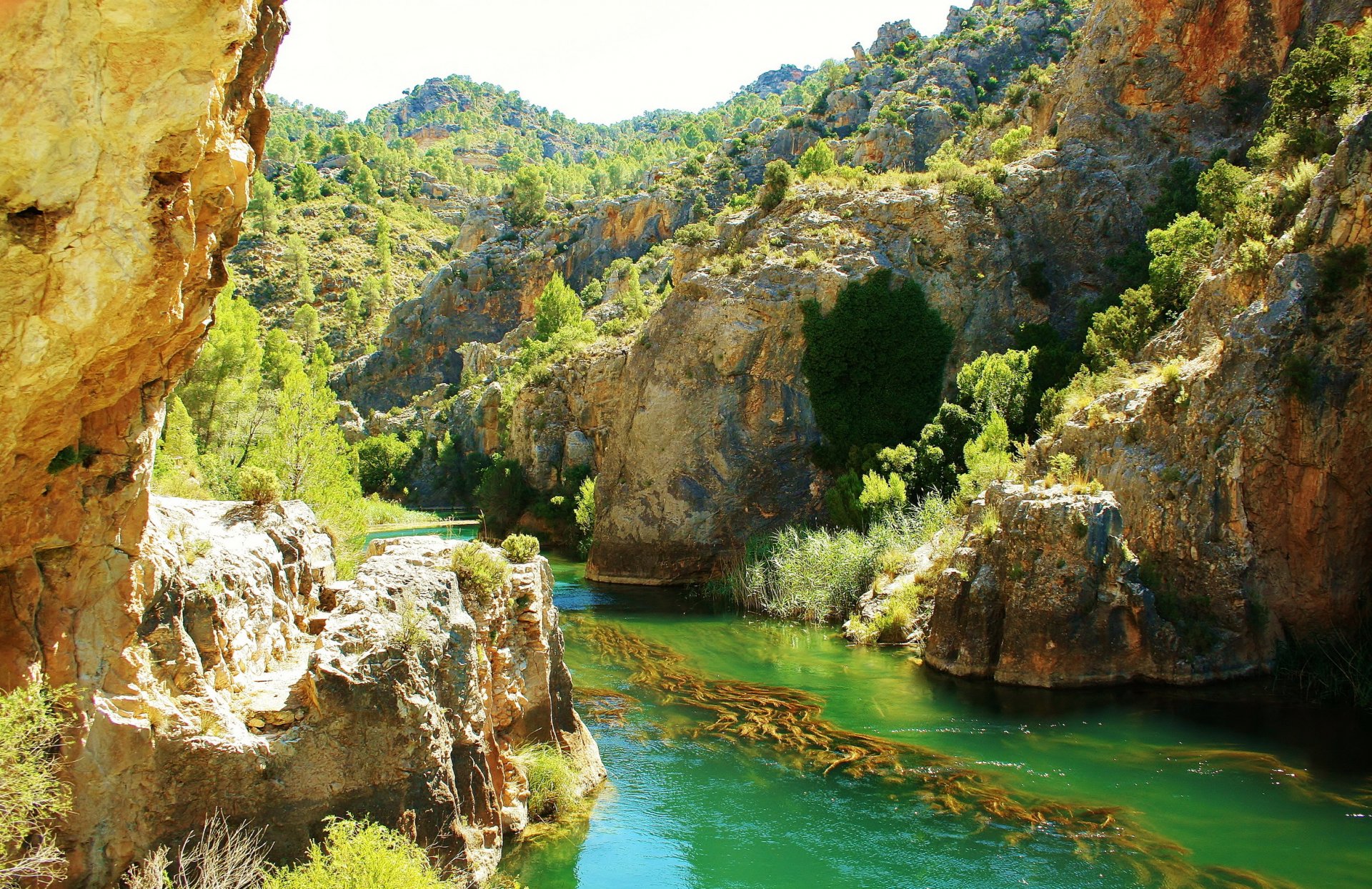 spagna cuenca fiume rocce roccia alberi