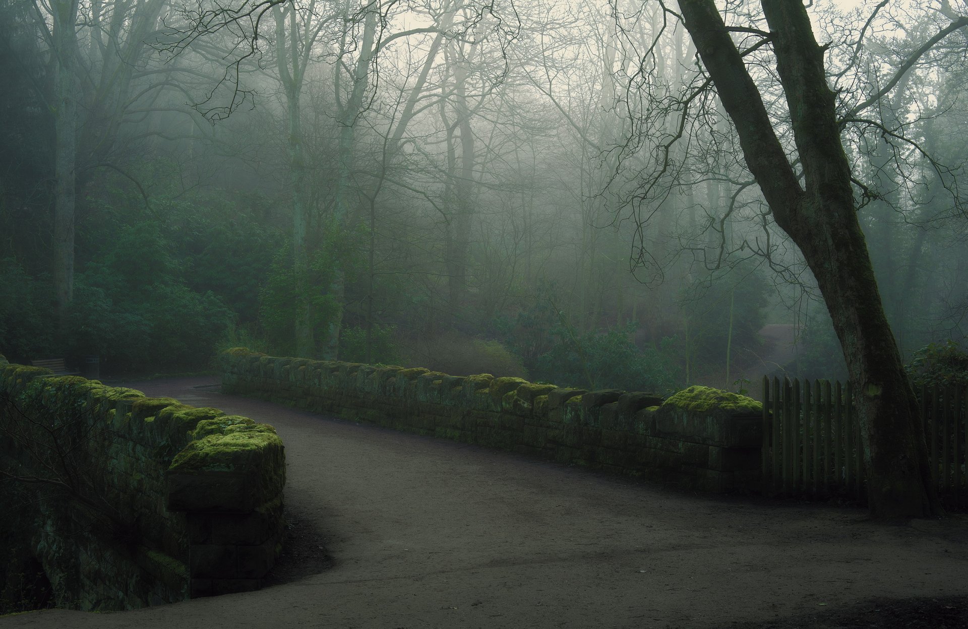 park brücke nebel morgen