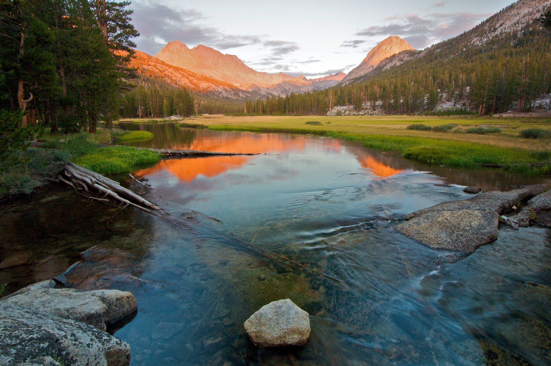 mountain sierra nevada slopes tree river shore stones reflection national park kings canyon california united state