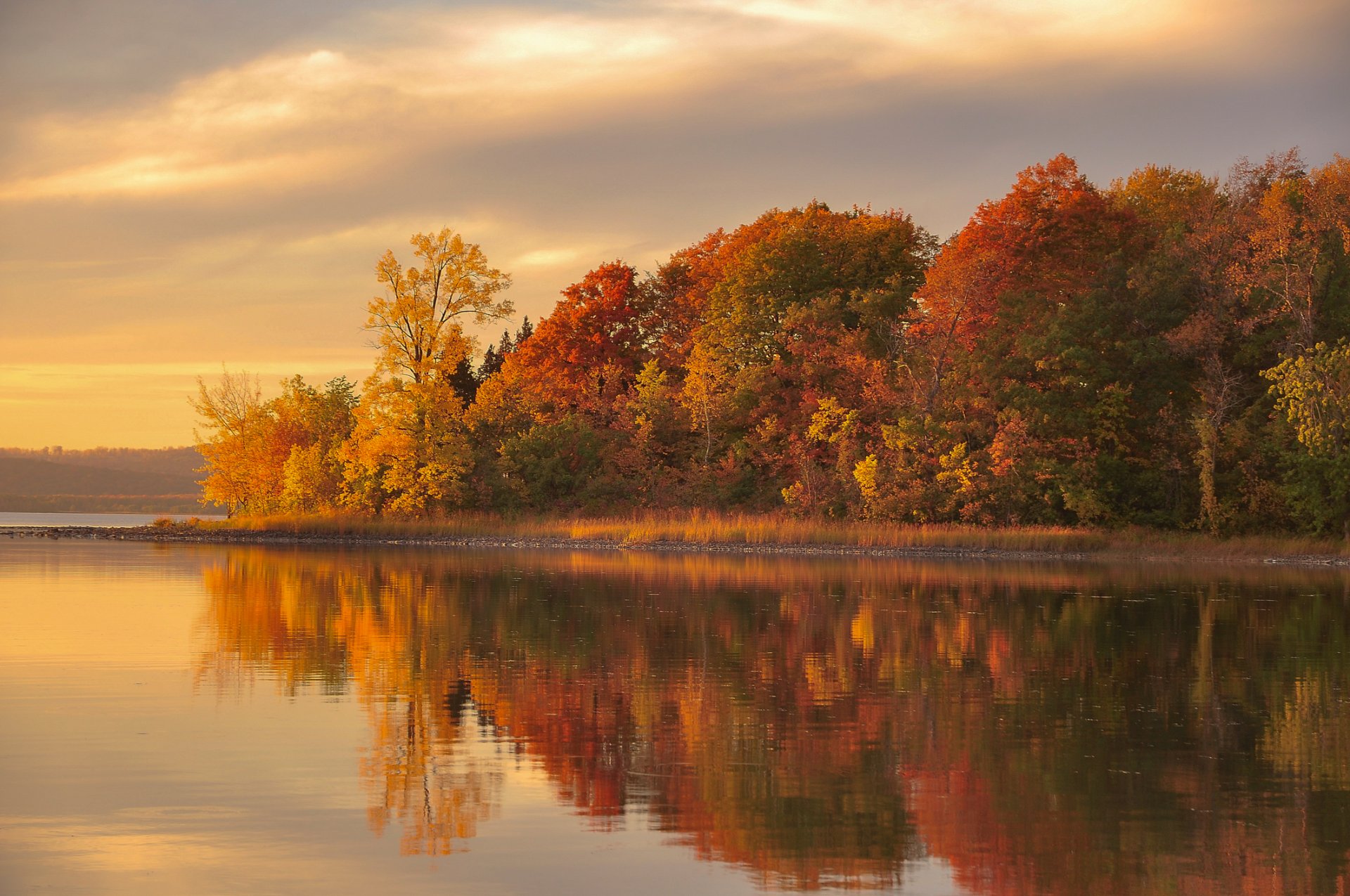 autumn forest lake reflection