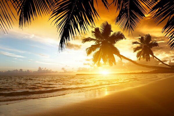 Tropical sunset -paradise on the beach