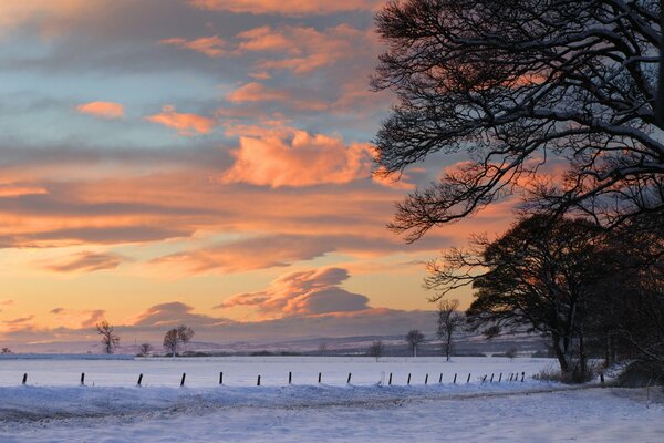 Hermosa puesta de sol sobre un campo cubierto de nieve