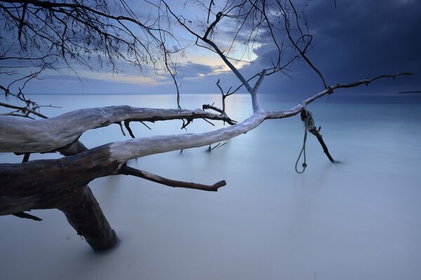 Seychelles landscape after sunset