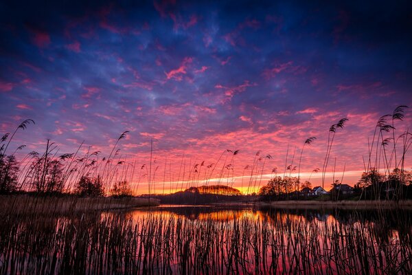 Crimson sunset on a blue sky