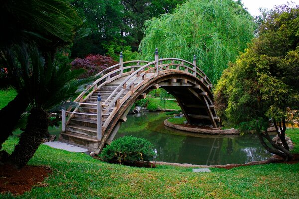 Puente sobre el estanque en el parque