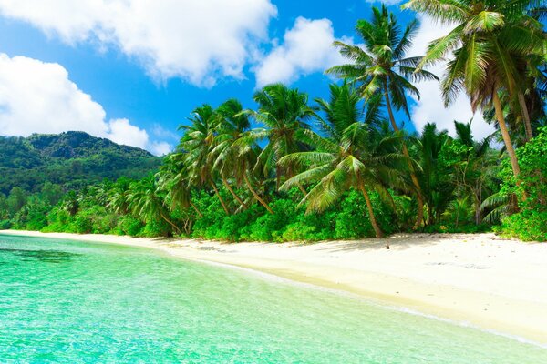 Tropical beach with emerald water