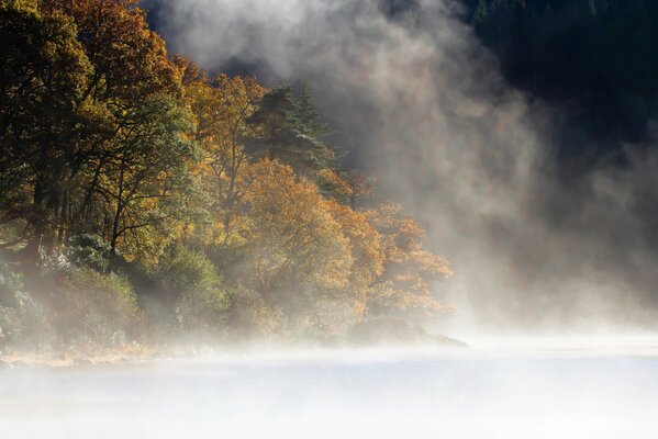 Lago di montagna nella nebbia con foresta autunnale