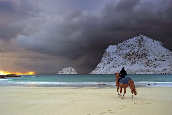 A girl riding a horse on the background of the surf