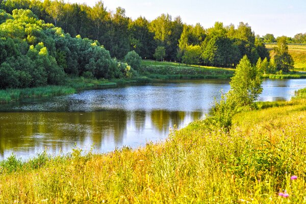 Russian river in the middle of the forest and fields