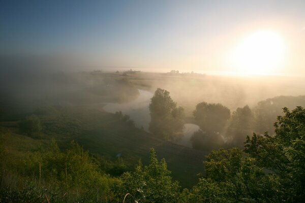 Matin brumeux d été près de la rivière