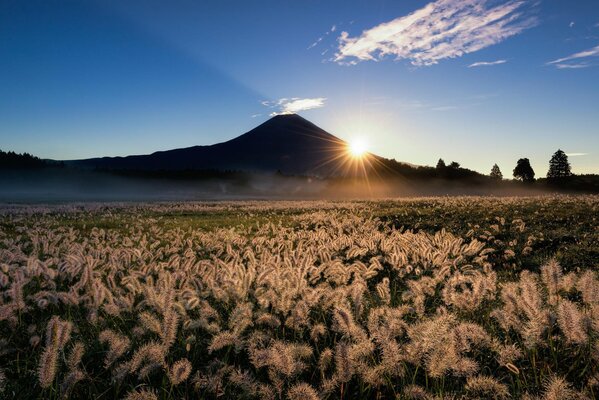 Vulcano Fujiyama in Giappone. Paesaggio della natura