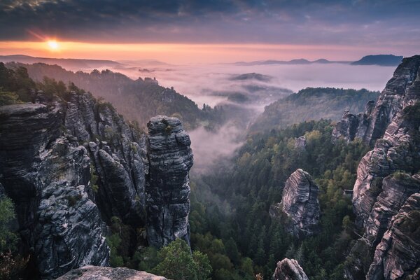 Niebla de la mañana en las montañas