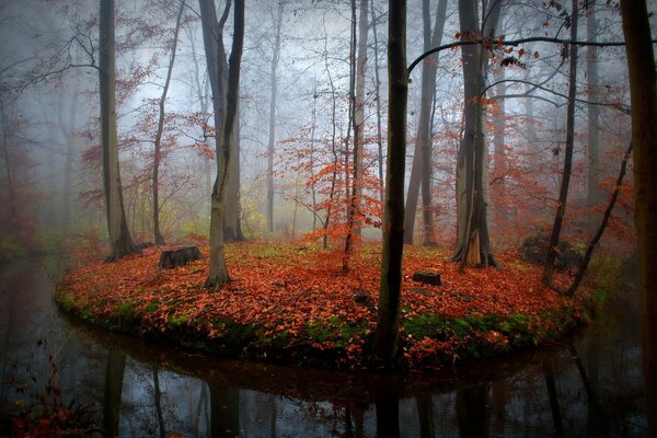 Autumn nature near the river