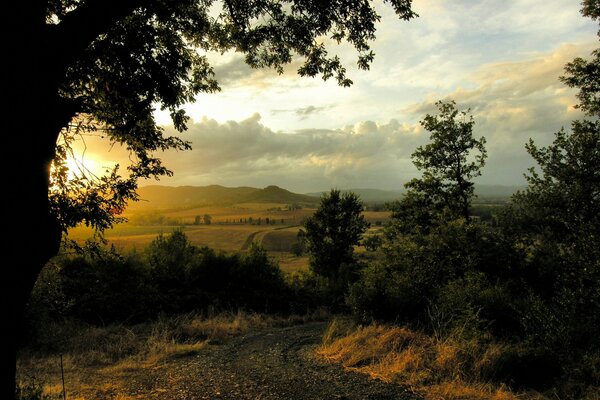 Steppe dahl Wald Natur