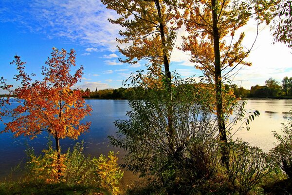 Orilla del río en otoño. paisaje