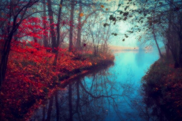 Bosque de otoño rojo con río azul
